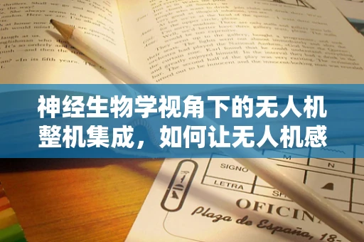 神经生物学视角下的无人机整机集成，如何让无人机感知世界？