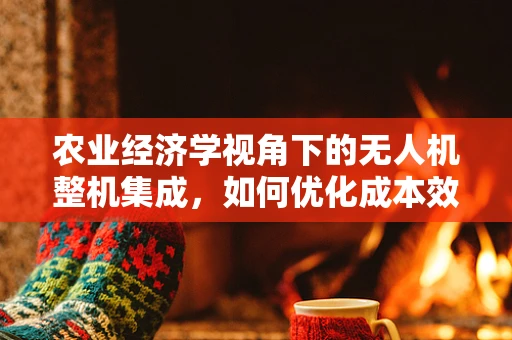 农业经济学视角下的无人机整机集成，如何优化成本效益？