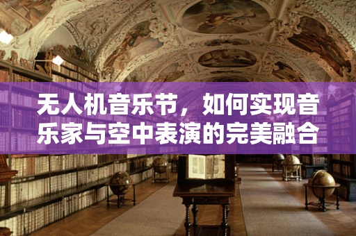 无人机音乐节，如何实现音乐家与空中表演的完美融合？