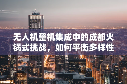 无人机整机集成中的成都火锅式挑战，如何平衡多样性与协同性？