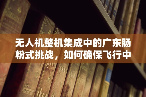 无人机整机集成中的广东肠粉式挑战，如何确保飞行中的美食安全？