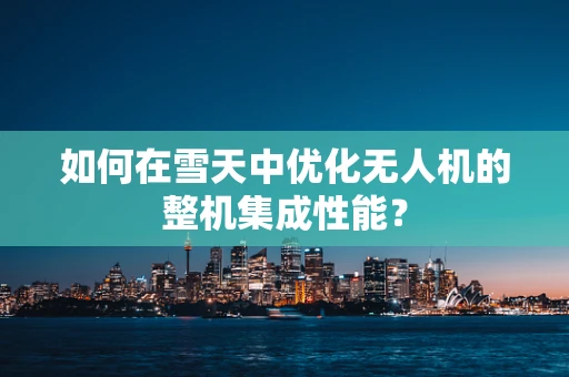如何在雪天中优化无人机的整机集成性能？