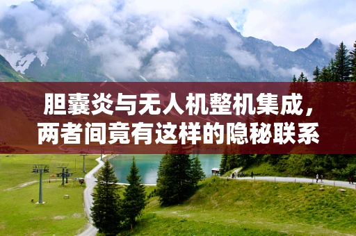 胆囊炎与无人机整机集成，两者间竟有这样的隐秘联系？