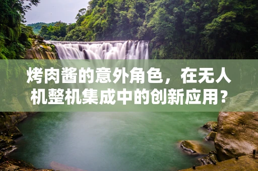 烤肉酱的意外角色，在无人机整机集成中的创新应用？