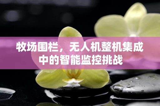 牧场围栏，无人机整机集成中的智能监控挑战