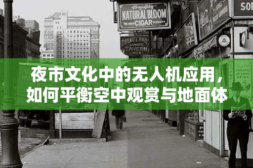 夜市文化中的无人机应用，如何平衡空中观赏与地面体验？