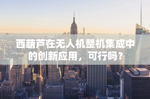西葫芦在无人机整机集成中的创新应用，可行吗？