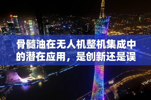 骨髓油在无人机整机集成中的潜在应用，是创新还是误导？
