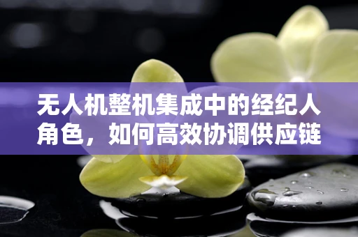 无人机整机集成中的经纪人角色，如何高效协调供应链？