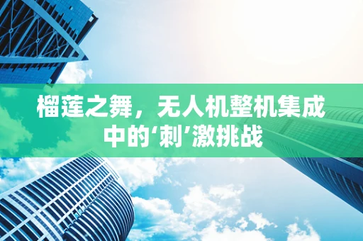 榴莲之舞，无人机整机集成中的‘刺’激挑战