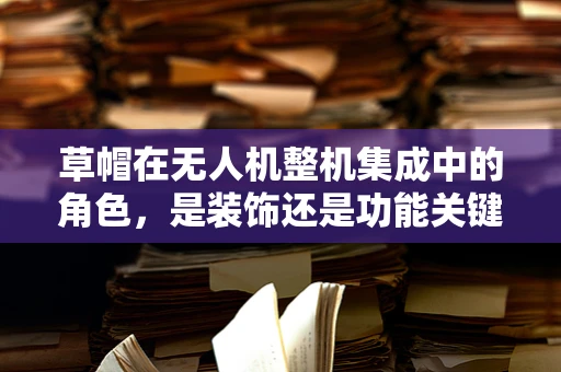 草帽在无人机整机集成中的角色，是装饰还是功能关键？
