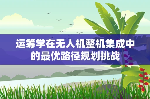 运筹学在无人机整机集成中的最优路径规划挑战