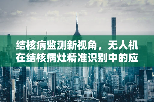 结核病监测新视角，无人机在结核病灶精准识别中的应用挑战