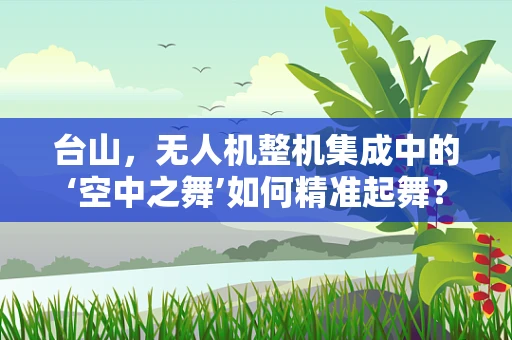 台山，无人机整机集成中的‘空中之舞’如何精准起舞？