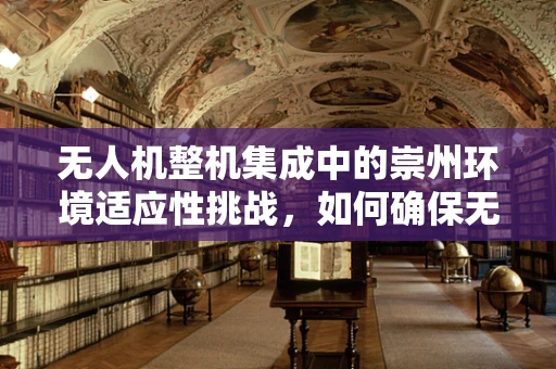 无人机整机集成中的崇州环境适应性挑战，如何确保无人机在复杂地形中的稳定飞行？