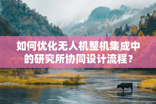 如何优化无人机整机集成中的研究所协同设计流程？