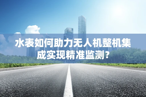 水表如何助力无人机整机集成实现精准监测？