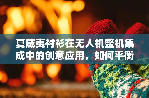 夏威夷衬衫在无人机整机集成中的创意应用，如何平衡美学与功能？