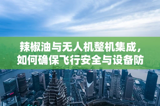 辣椒油与无人机整机集成，如何确保飞行安全与设备防护？