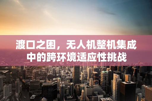 渡口之困，无人机整机集成中的跨环境适应性挑战