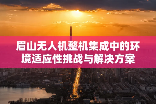眉山无人机整机集成中的环境适应性挑战与解决方案