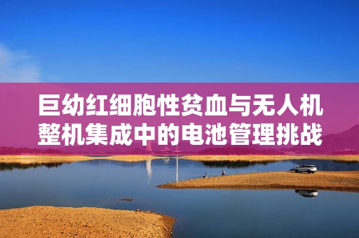 巨幼红细胞性贫血与无人机整机集成中的电池管理挑战