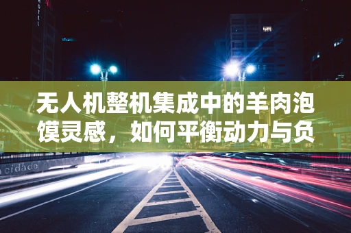 无人机整机集成中的羊肉泡馍灵感，如何平衡动力与负载的完美融合？