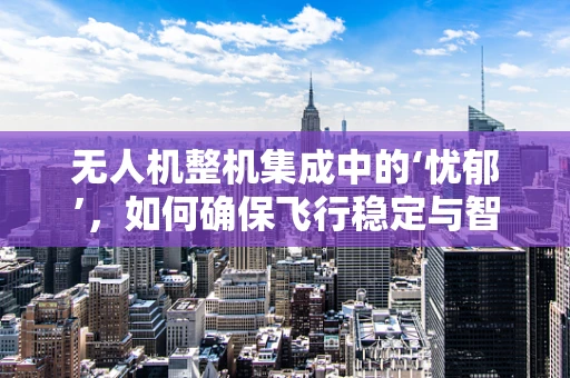 无人机整机集成中的‘忧郁’，如何确保飞行稳定与智能决策的和谐共存？