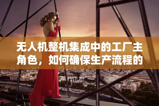 无人机整机集成中的工厂主角色，如何确保生产流程的协同与高效？