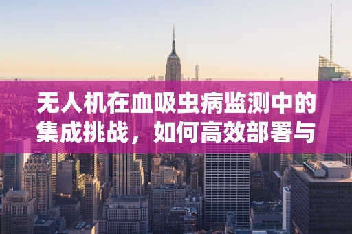 无人机在血吸虫病监测中的集成挑战，如何高效部署与数据安全？