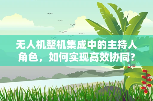 无人机整机集成中的主持人角色，如何实现高效协同？