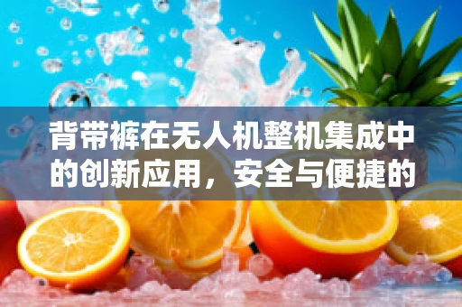背带裤在无人机整机集成中的创新应用，安全与便捷的双重考量