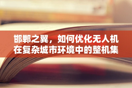 邯郸之翼，如何优化无人机在复杂城市环境中的整机集成与导航？
