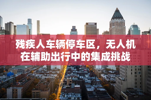 残疾人车辆停车区，无人机在辅助出行中的集成挑战