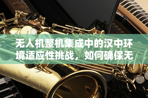 无人机整机集成中的汉中环境适应性挑战，如何确保无人机在复杂地形中的稳定飞行？
