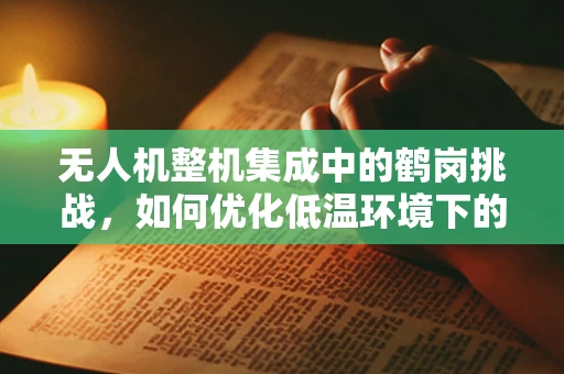 无人机整机集成中的鹤岗挑战，如何优化低温环境下的飞行稳定性？