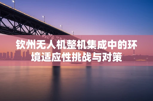 钦州无人机整机集成中的环境适应性挑战与对策