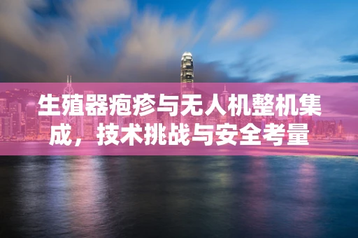 生殖器疱疹与无人机整机集成，技术挑战与安全考量