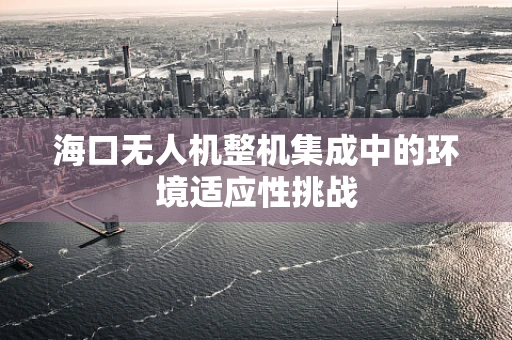 海口无人机整机集成中的环境适应性挑战