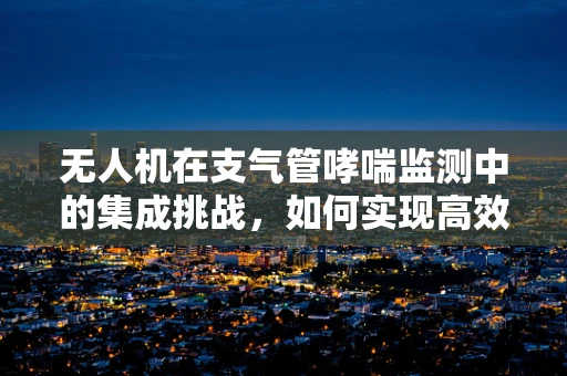 无人机在支气管哮喘监测中的集成挑战，如何实现高效、无干扰的空中监测？
