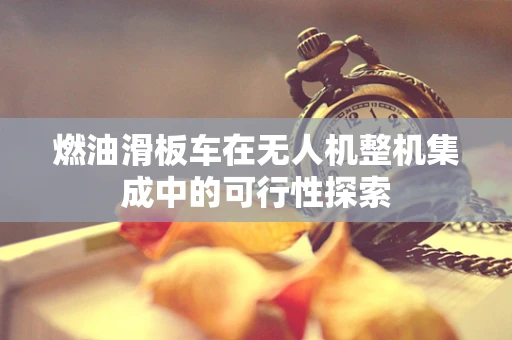 燃油滑板车在无人机整机集成中的可行性探索