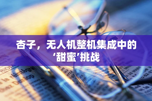 杏子，无人机整机集成中的‘甜蜜’挑战