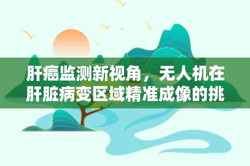 肝癌监测新视角，无人机在肝脏病变区域精准成像的挑战与机遇