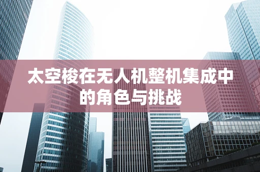 太空梭在无人机整机集成中的角色与挑战