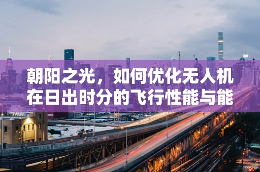 朝阳之光，如何优化无人机在日出时分的飞行性能与能效？