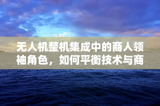 无人机整机集成中的商人领袖角色，如何平衡技术与商业的双重挑战？
