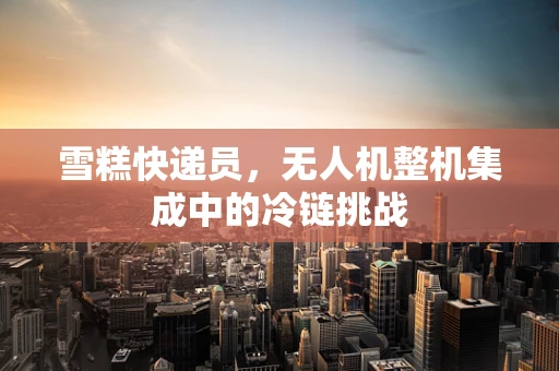 雪糕快递员，无人机整机集成中的冷链挑战
