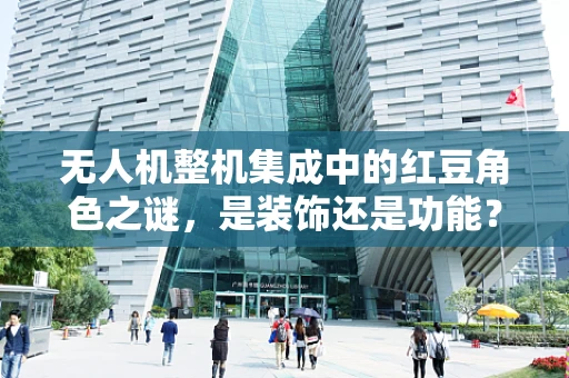 无人机整机集成中的红豆角色之谜，是装饰还是功能？