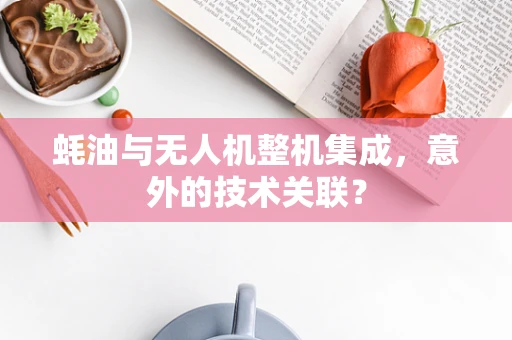 蚝油与无人机整机集成，意外的技术关联？