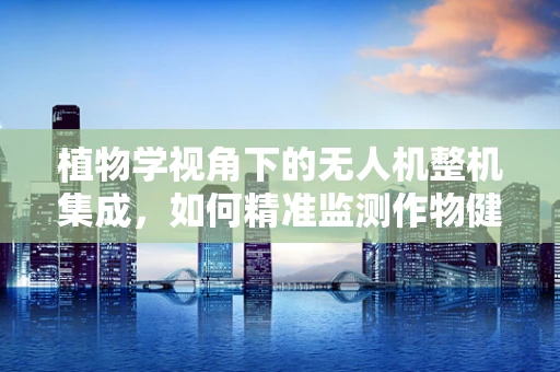 植物学视角下的无人机整机集成，如何精准监测作物健康？